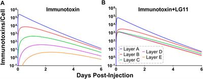 Development and Evaluation of Competitive Inhibitors of Trastuzumab-HER2 Binding to Bypass the Binding-Site Barrier